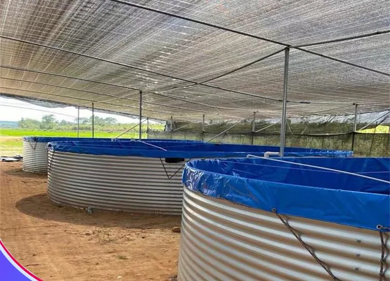 Factory direct large round galvanized steel pond fish tank for sale