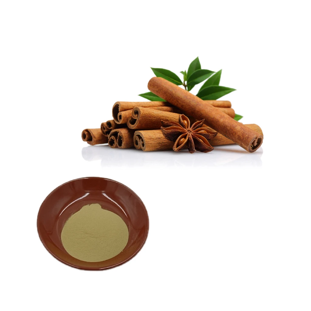 Factory supply Cinnamomum Extract Cinnamon Bark Extract  Polyphenols 10%-50%  Powder Extract