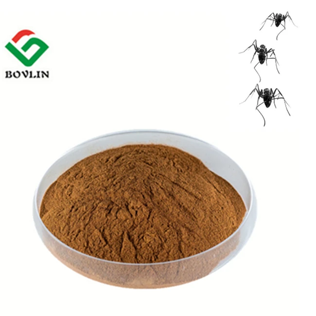Black Ant Extract Black Ant For Men Black Ant Powder
