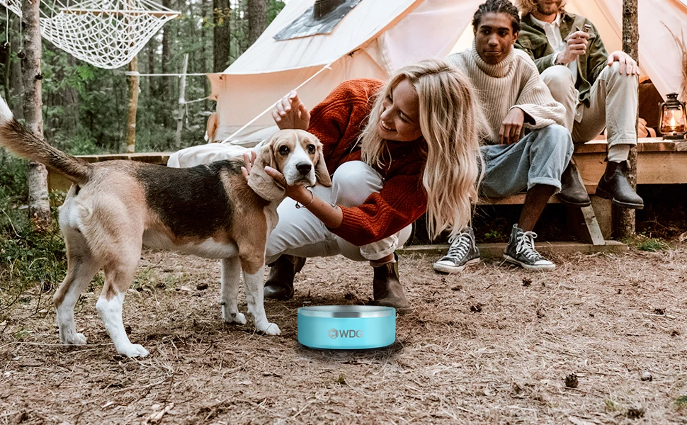 Stainless Steel Dog Bowl Insulated Pet Bowl Feeders Cat Water Basin