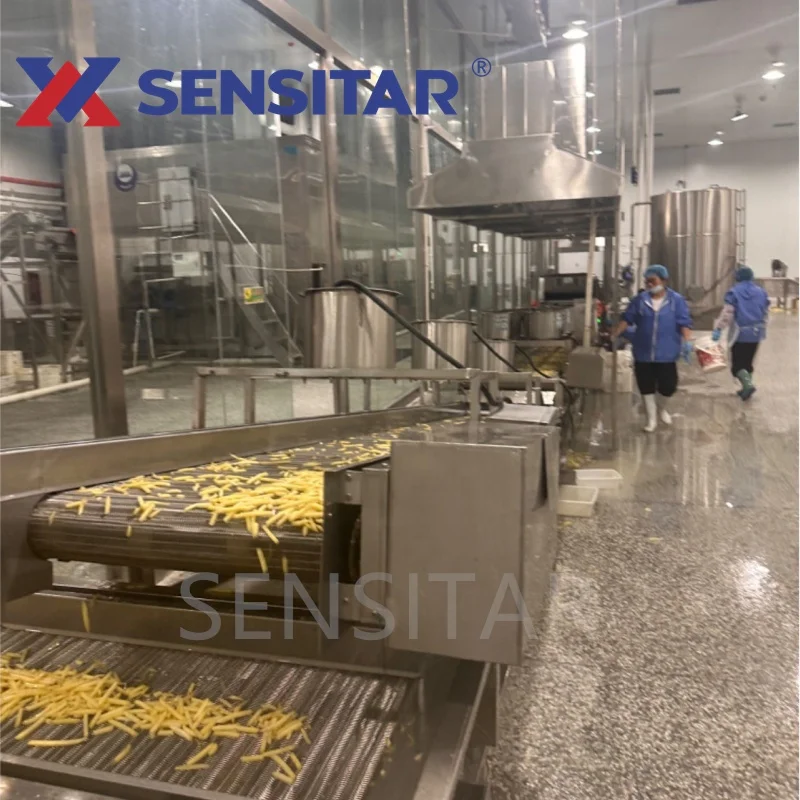 CE PED Certificate Turnkey Frozen French Fries Making Machine Potato Strips Frying Line French Fry Production Line