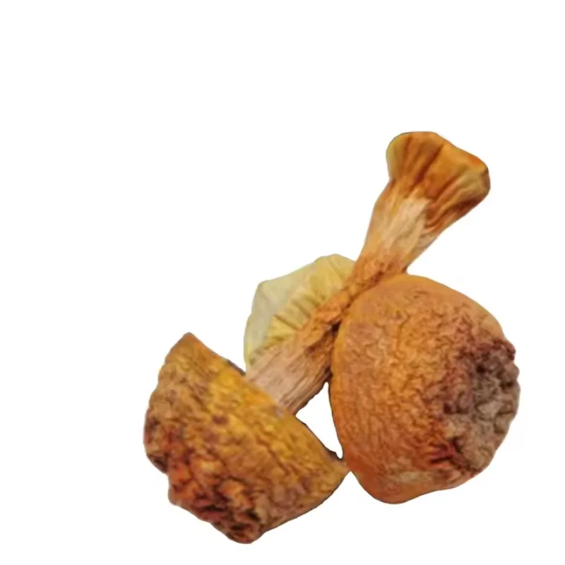 Best Price Organic Agaricus Blazei Whole Truffle Mushrooms Agaricus Blazei Murill Mushroom