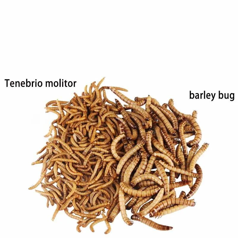 SUNSUN Feed Blood Parrot Fish Food Mealworm Barley Worm Tropical Fish Rich Fish Food