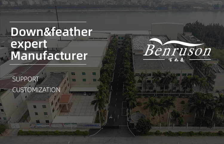 European standard washed 800 fill power white grey goose down feathers for sale