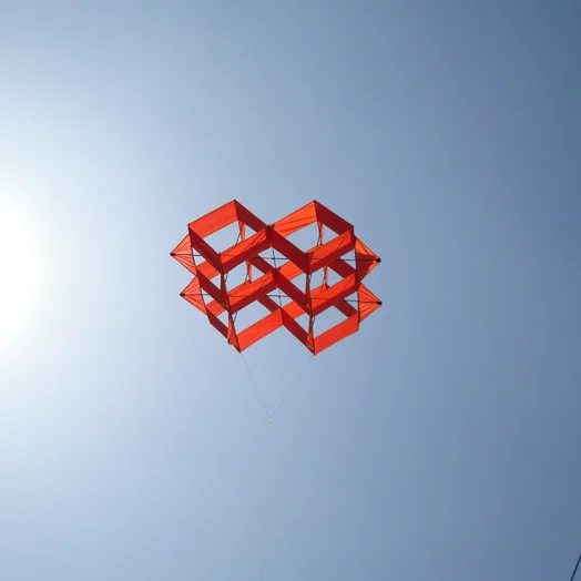 Plastic BLUE 3D Kites For Adult