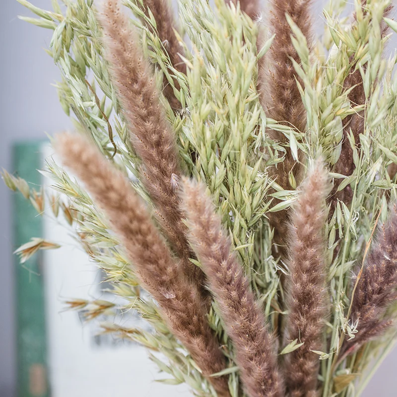 high quality Oat Flower Natural Dried Wheat Sheaves Fall Arrangement Oat Bouquet Bundle Flower for DIY Home Table