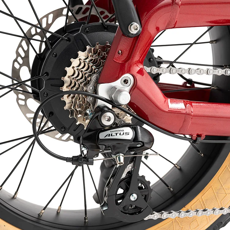 20 Inch Fat Tire Ebike 750w Urban City Electric Bike Bicycle With Rear Rack