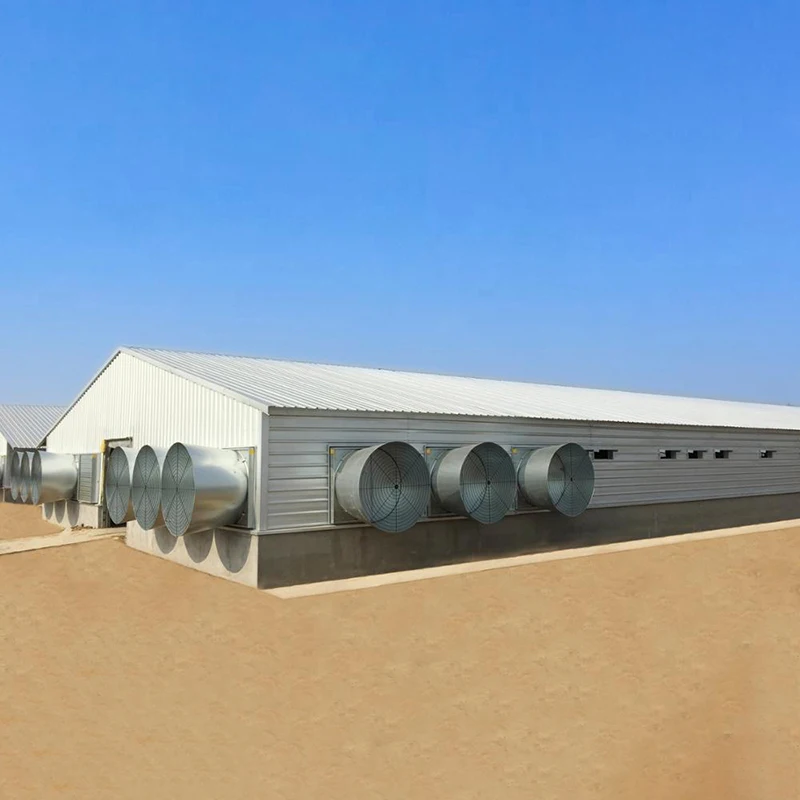 High Quality  Cheap Prefabricated DWG Designs Chicken Steel Structure  Coop Houses Shed For Sale