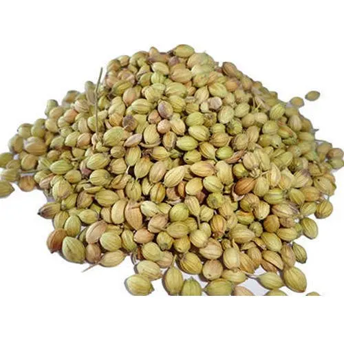 
India wholesale price coriander seeds whole premium quality eagle 
