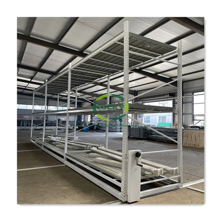 Multi Layer Seedbed Rolling Rack Industrial Grow Work up Shutter Greenhouse Bench for Sale