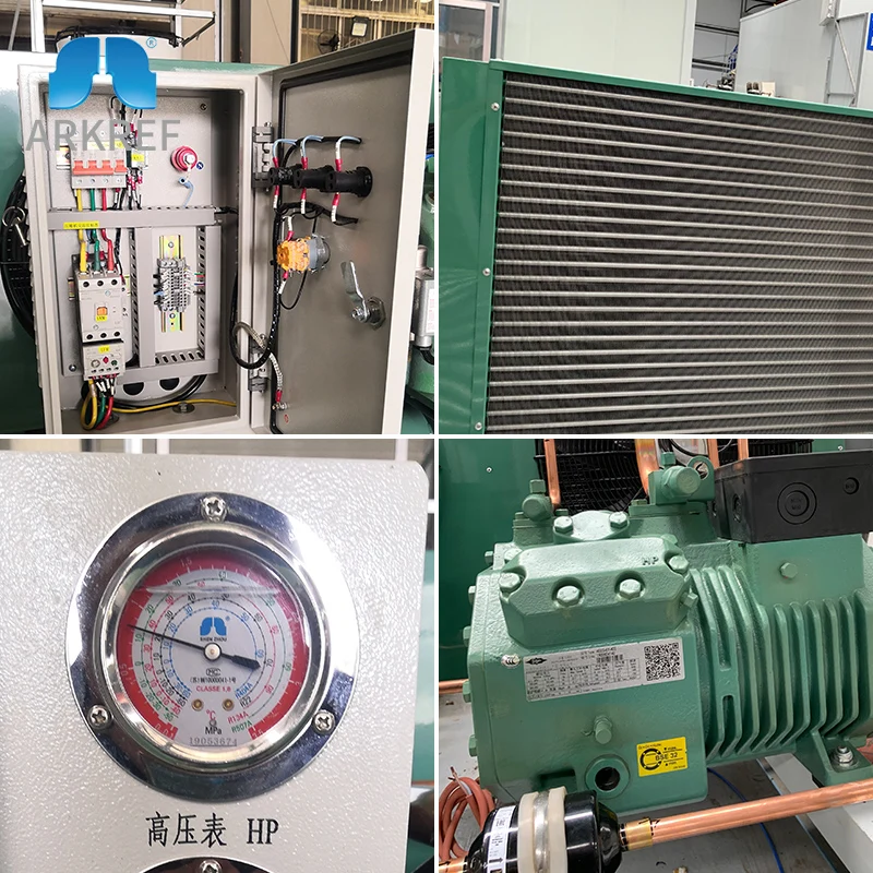 ARKREF 2 hp Refrigeration Bitzer Condensing Unit Air Cooled Condensing Unit