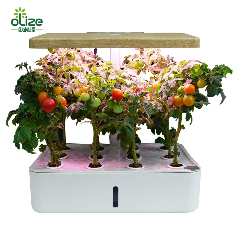 Hydroponic Growing System Indoor Herb Garden Kit for 12 Plants Starter Kit with LED Grow Light Smart Hydroponic Planter