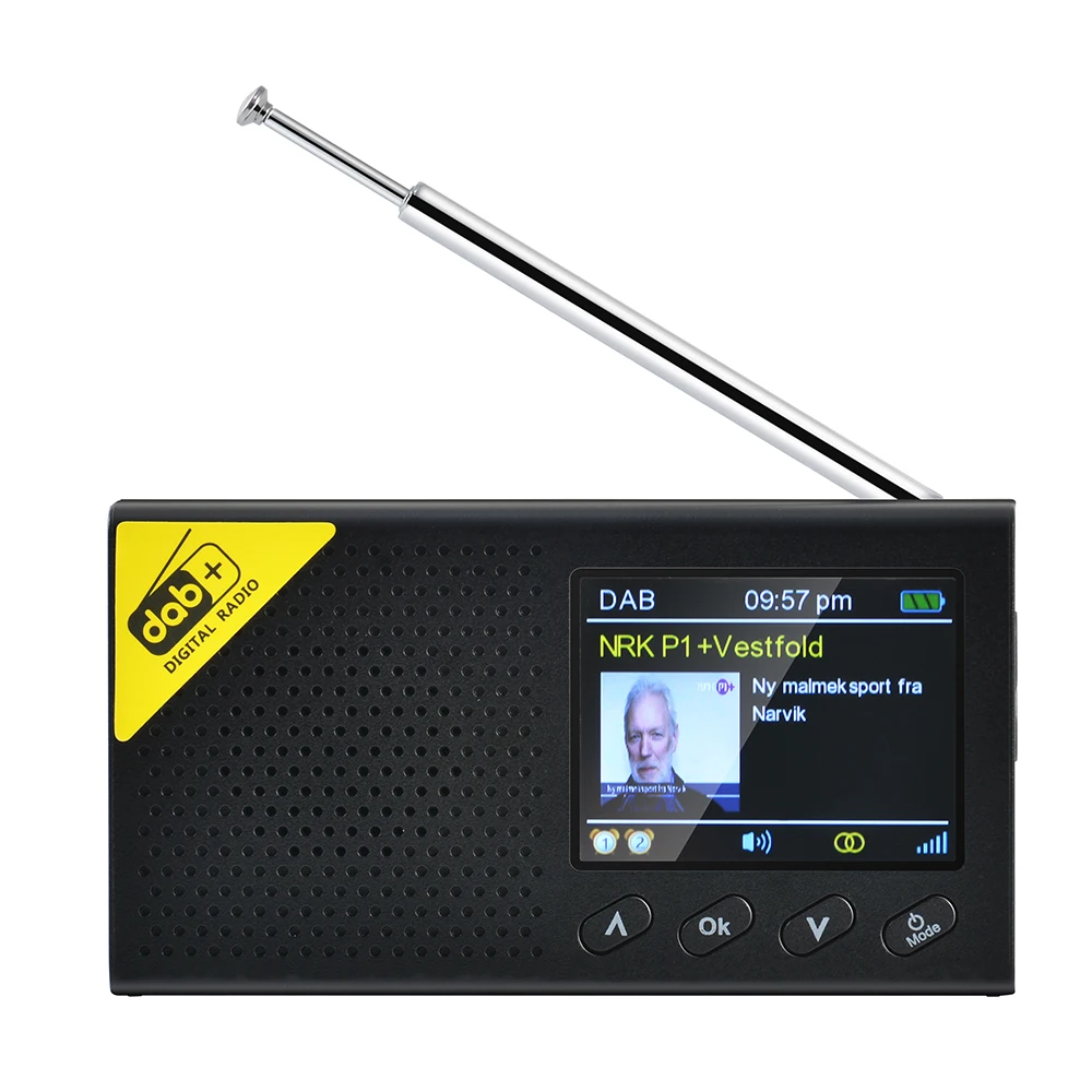 Портативный DAB /DAB + автоматический цифровой fm-радиоприемник