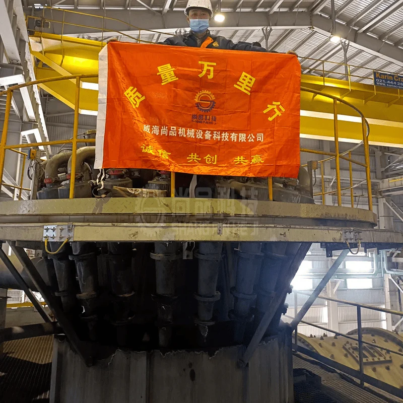 Customizable Hydrocyclone Machining for Mineral Separators New Condition Autoparts with Polished Surface Sand Collection