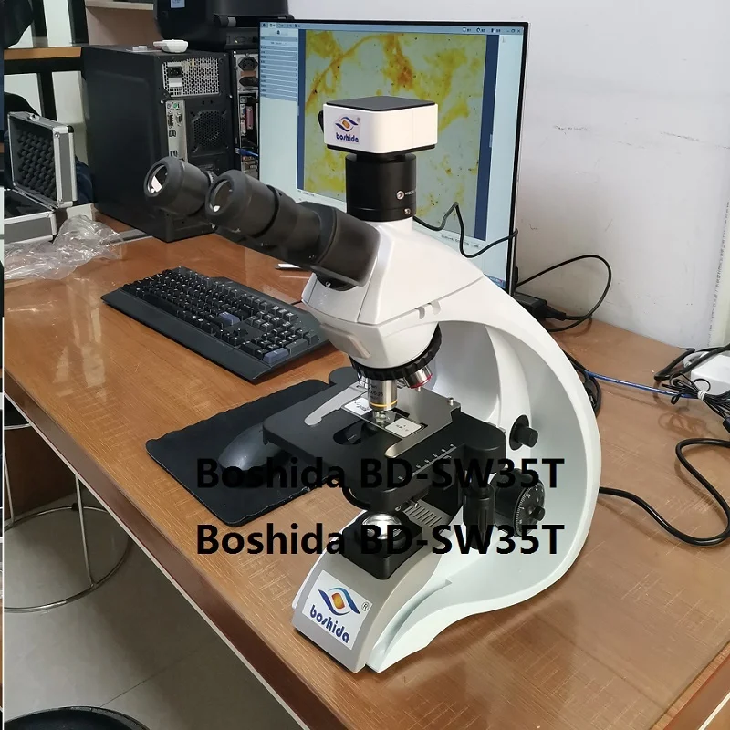 Boshida BD-SW35 compound trinocular biological microscope with  infinity optical system for laboratory  and hospital