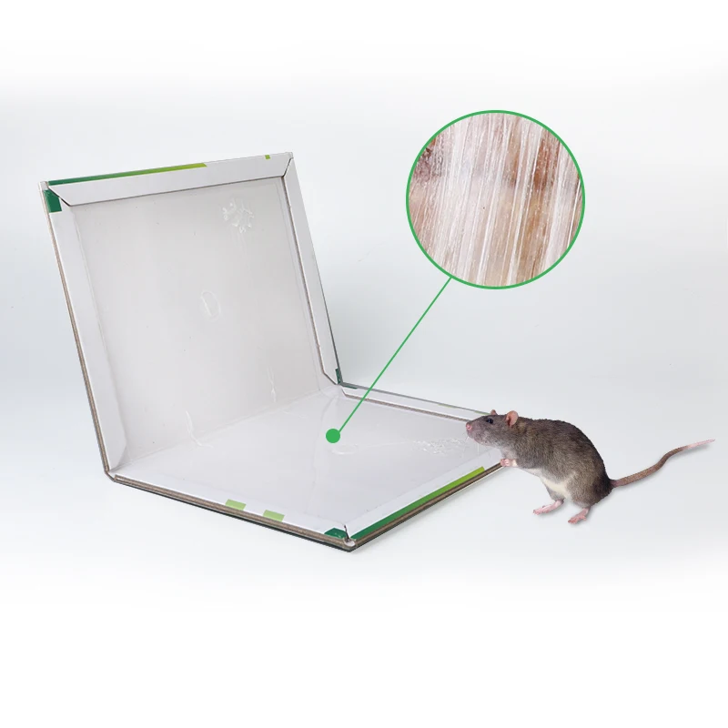 34*21cm 165g Factory Directly Provide Disposable Mouse Mice Rat Trap Glue Sticky Pad Boards