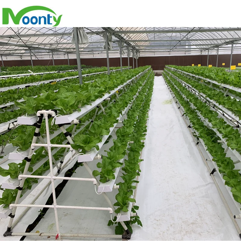 Agricultural Greenhouses Hydroponics Gully Vertical Farming Gutter Smart Garden NFT Grow