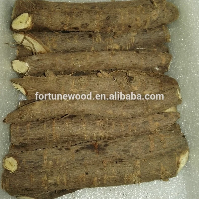 
Pao tong Cold resistant rapid increase seeds paulownia roots seedling 
