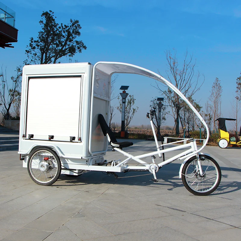 Heavy loading new design electric bicycle cargo bike adults electric tricycle 3 wheels bike three wheel bicycle cargo bike