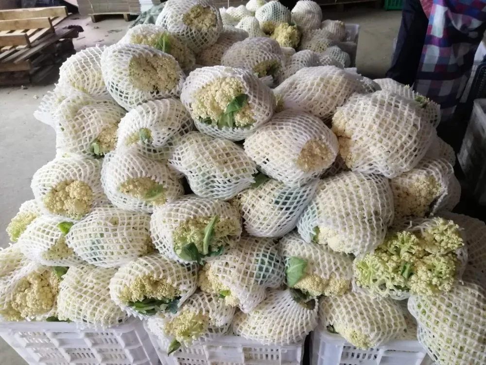 New Chinese  crop Fresh Cauliflower all year round wholesale cheap price