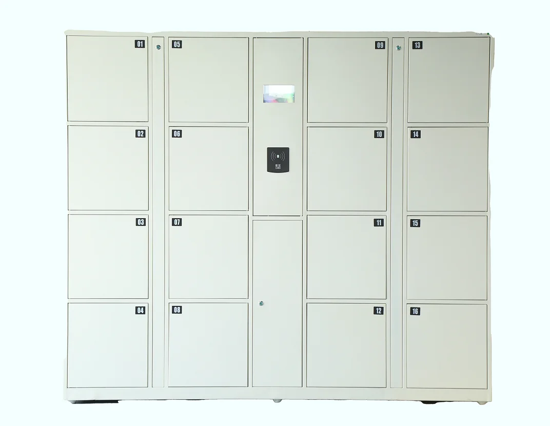 
 Высококачественный индивидуальный школьный тренажерный зал DCDZ, раздевалки для хранения, электронный шкаф для хранения  