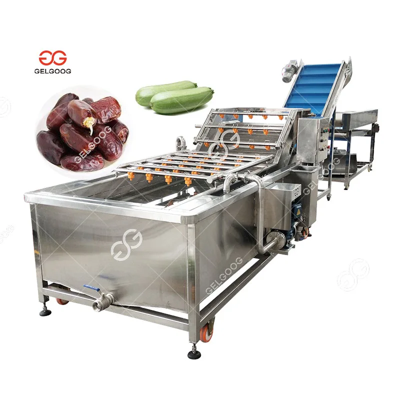  Gelgoog 500Kg/H Vegetable Washer Citrus Orange Sea Buckthorn Date Palm Spray Conveyor Milk fruit Washing