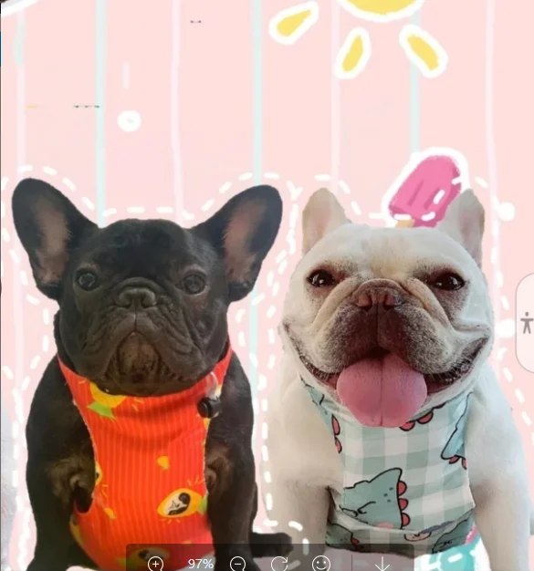 New cooling clothes summer ice bag anti heatstroke camouflage ice bag dog heat relief pet vest