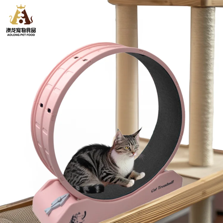 2024 Innovative Interactive Pet Exercise Treadmill Cat Fitness Toy with Running Wheel Pet Supplies