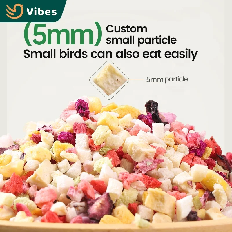 Southeast Asia Special Small Animal Hamster Guinea Pig Food High Protein Muesli Dried Fruit For Hamster