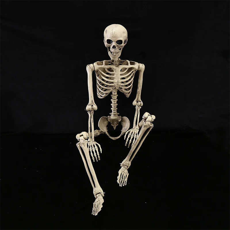 Manufacture Best Prop Creepy Joints Human Realistic Full Body Life Size Halloween Skeleton For Indoor And Outdoor