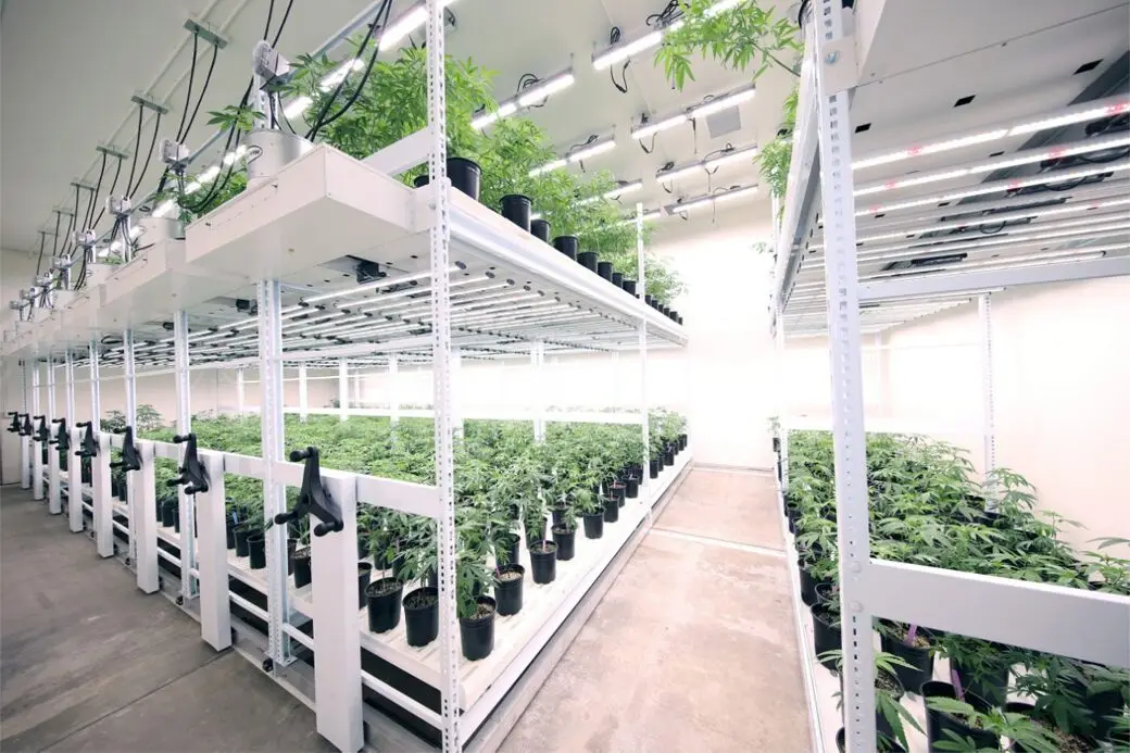 Сельское хозяйство товары для выращивания система гидропоники вертикальные теплицы посадки