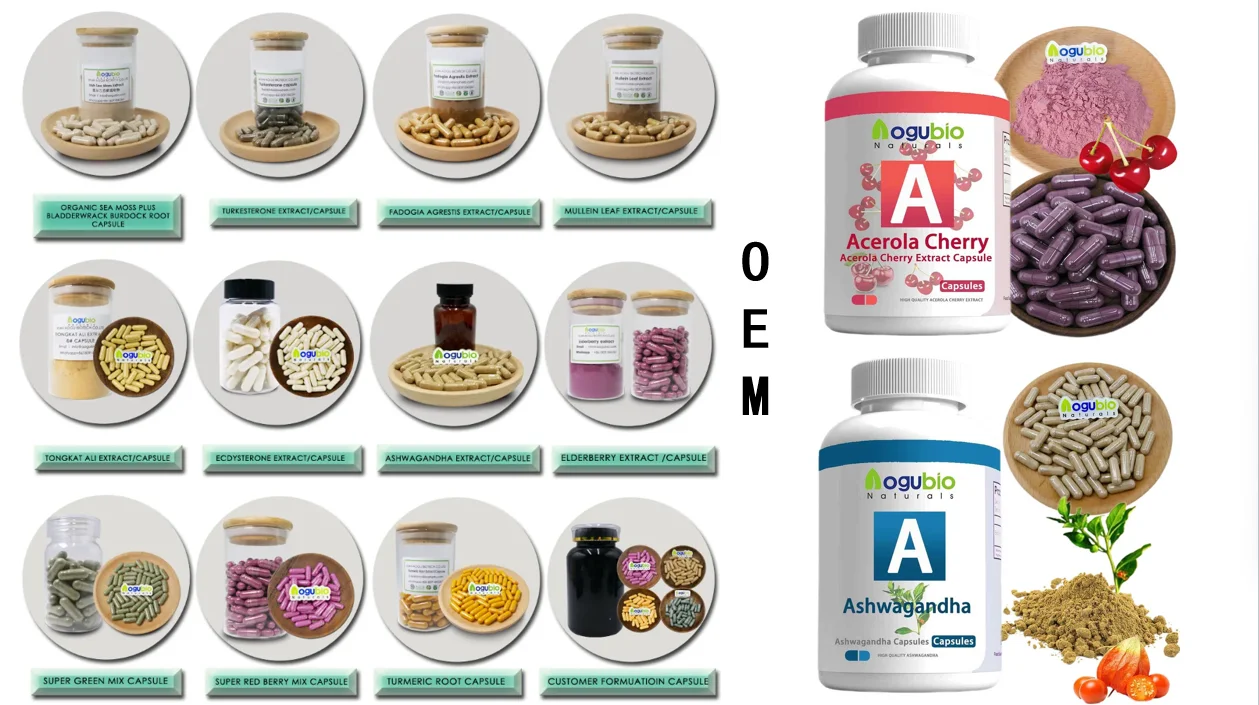 Sport Nutrition Supplement BCAA EAA Protein Powder Essential eaa amino acid powder