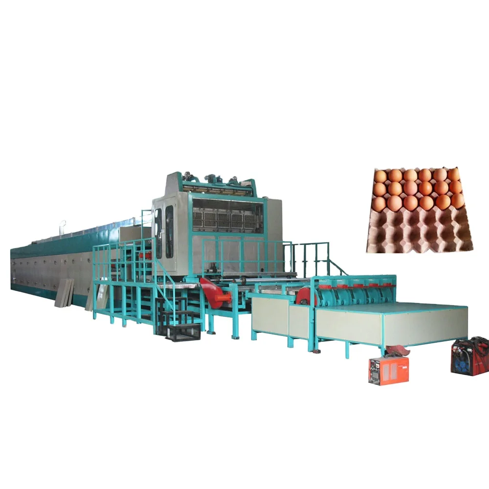 Fully Automatic Paper Egg Tray Making Machine Cheap Egg Tray Making Machine Price