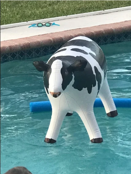 Plastic PVC Inflatable toys Milka Cow inflatable animal toy Stuffed Animal giant blow up Amazon hot sale theme party decor