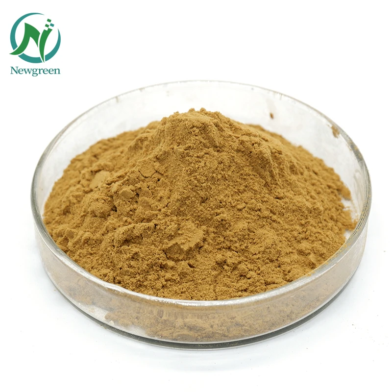 Newgreen Supply High Quality Extract Hot Selling Best Price Puerarin 30% 98%  Extract