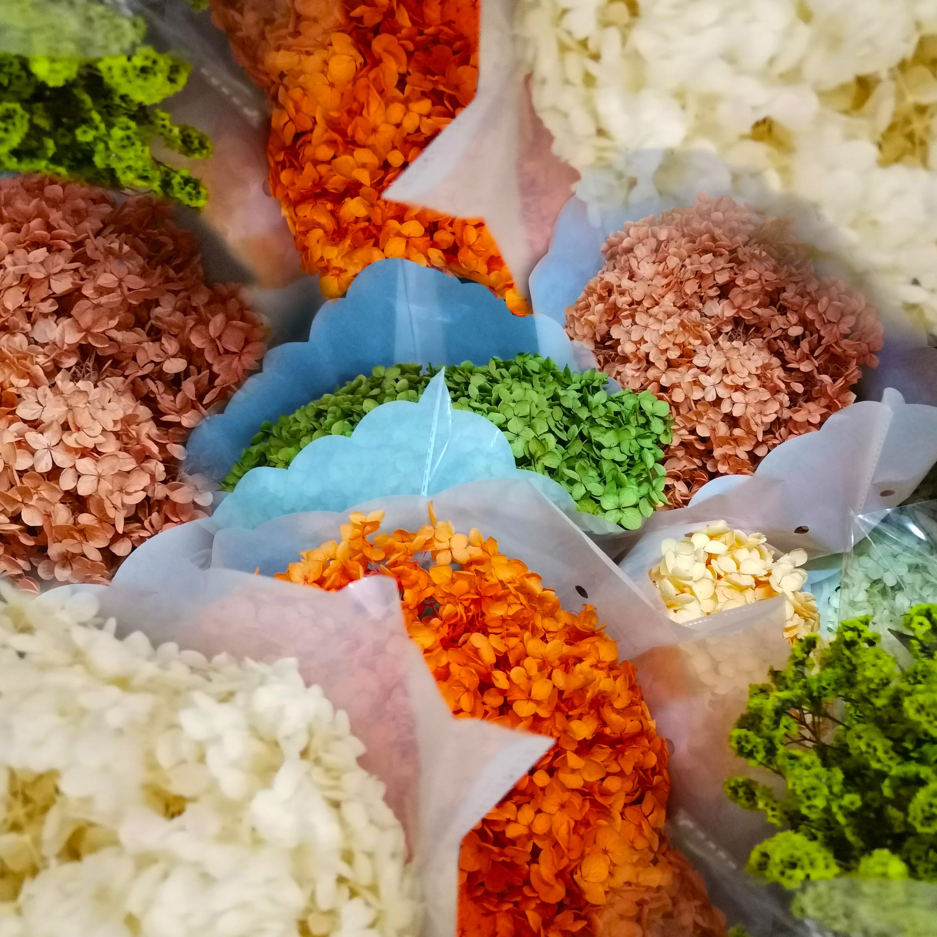 Yunnan High Quality China Online Shopping Preserved Eternal Fresh Cut Flowers Limonium Plant For Bouquet home table decoration