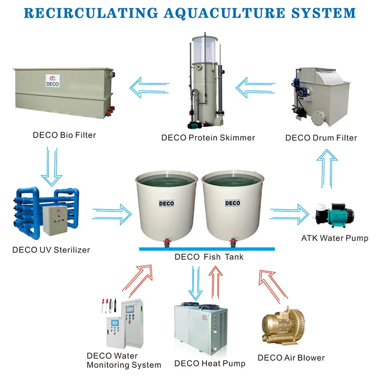 recirculating aquaculture system  fish farming equipment ras system aquaculture water recirculation system in aquaculture