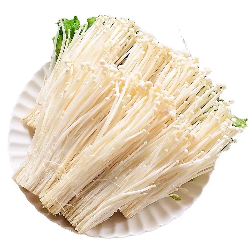 New Product Organic Mushroom Enoki Mushrooms Enoki Golden Needle Mushroom