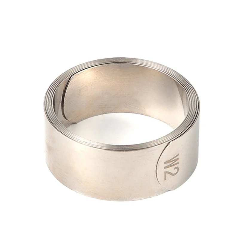 Coil Style Steel and Stainless Steel Constant Extension Spring for Auto for Automobile Usage