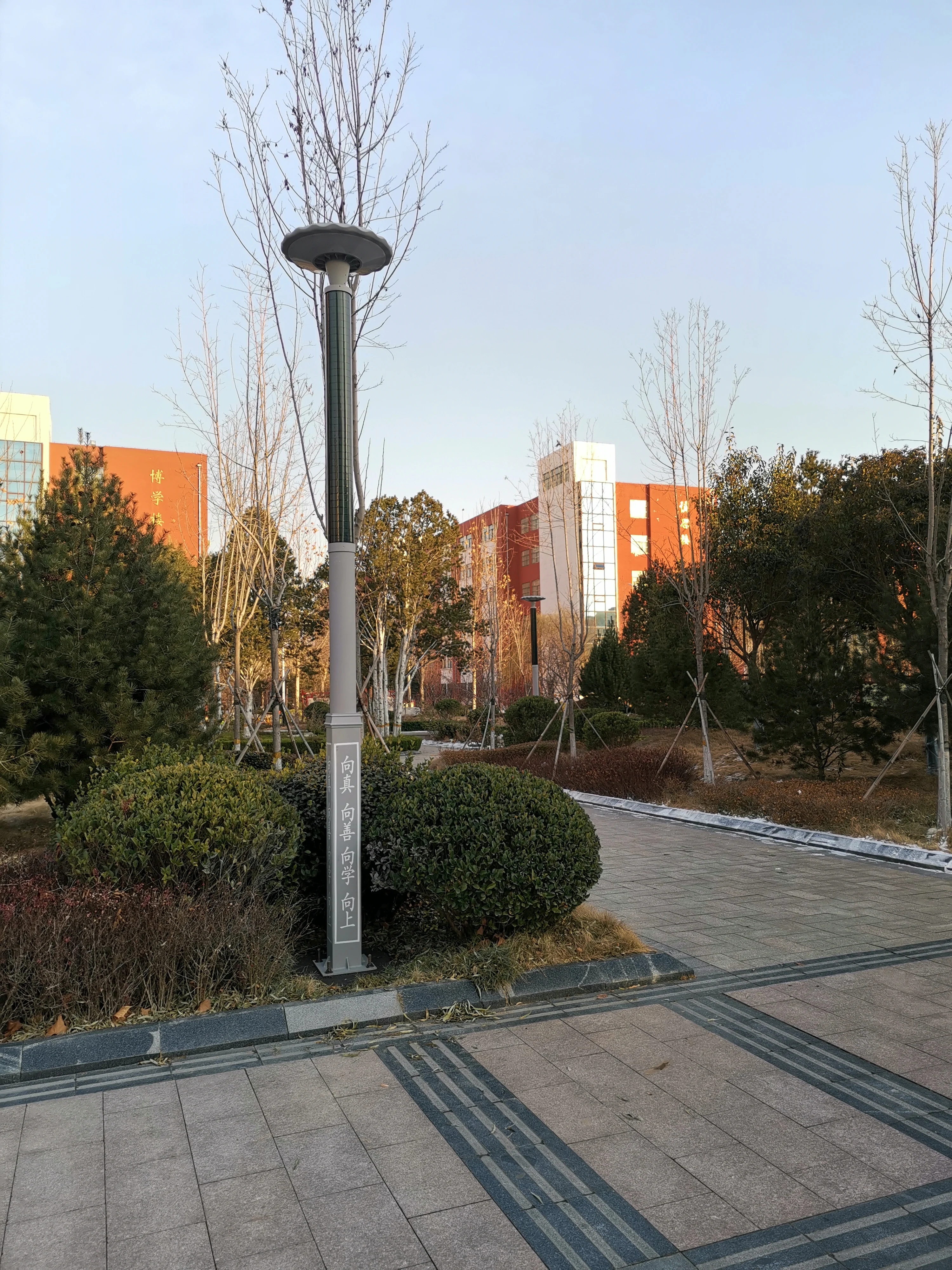 Factory Price Solar Lights with Panels Attached to Power Poles