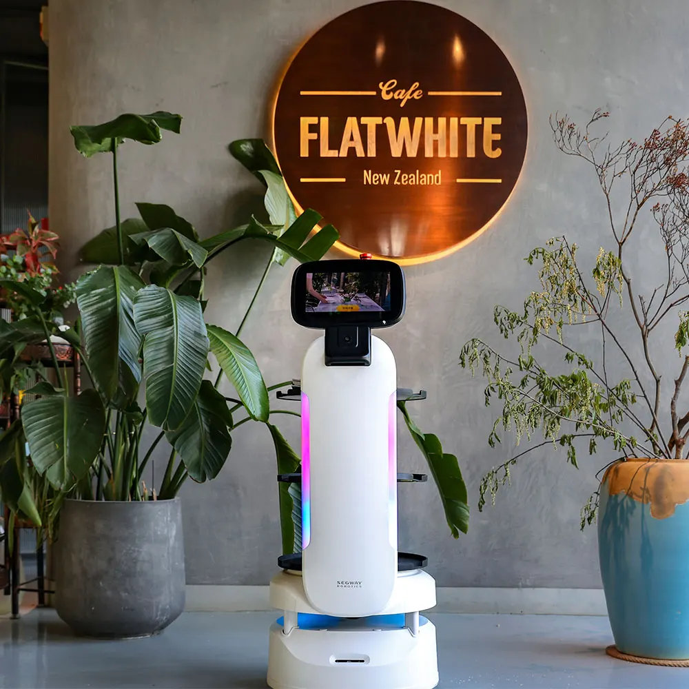 China Inquiry waitress Robot Humanoid Intelligent Kitchen Waiter Robot In Pizzeria