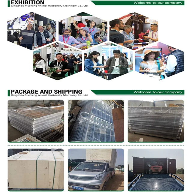 Factory Direct Supply Steel Equine Building Bamboo Panel Horse Stables For Powder Coated  Horse Stable Customized Style