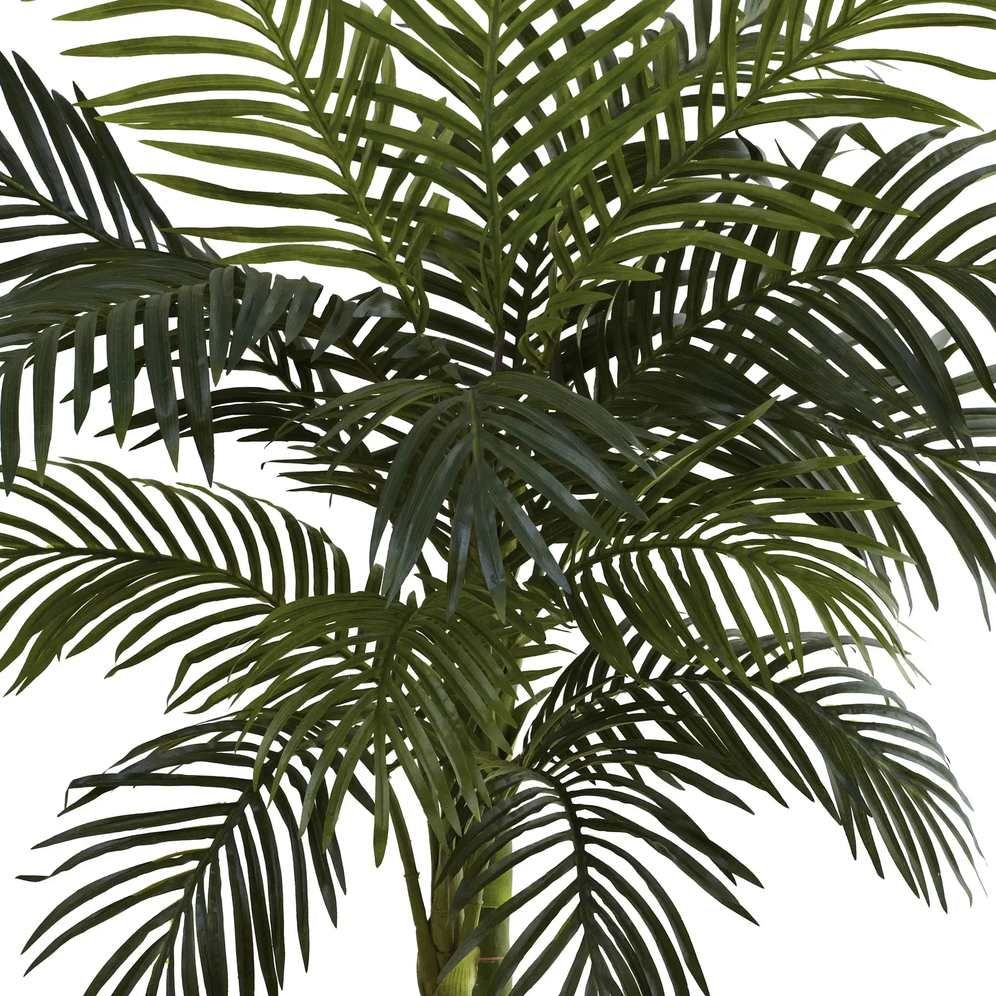 Custom Logo High Quality Tree Artificial Decoration Large Plants Artificial  Golden Cane Palm Tree