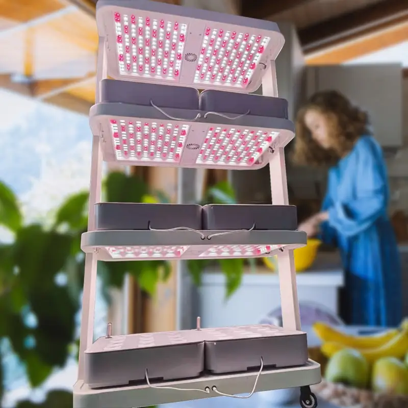 Full Spectrum Indoor Hydroponic Grow Light 3 Layer indoor vegetable growing rack machine for leafy vegetables pepper lettuce