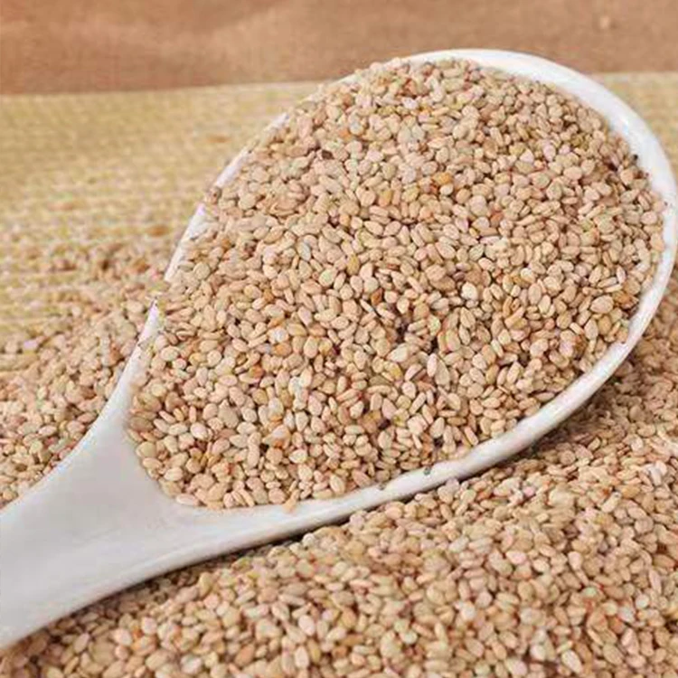 Sesame Seeds New Type 100% Natural White Sesame Seeds Oil Sesame Seeds
