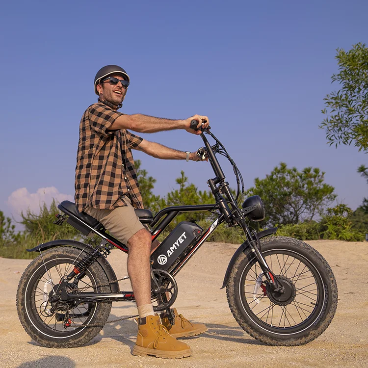 Electric Bicycle 25AH 2000W Mountain Ebike Fat Tire Moped Adult Off-Road Hydraulic Brake Electric Bike