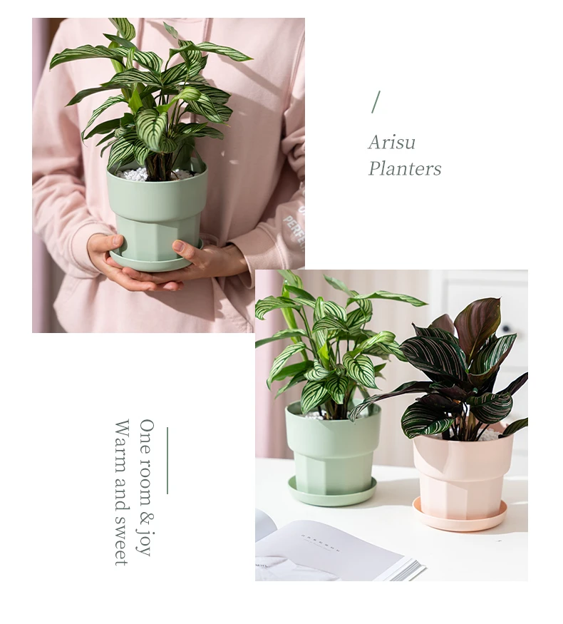 RUIPU (YQ--L) Small Desktop Three color modern plastic flower pots with breathable drainage suitable for gardens