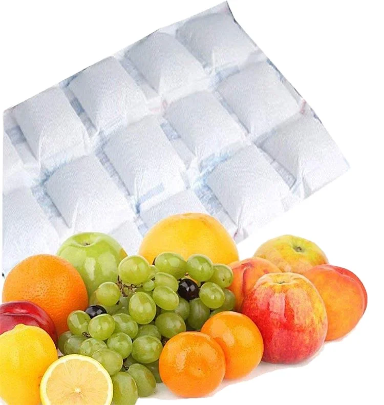 FC brand -6/12/18/24 cells Economical And Practical Custom Design Freezer Packs Dry Ice Pack