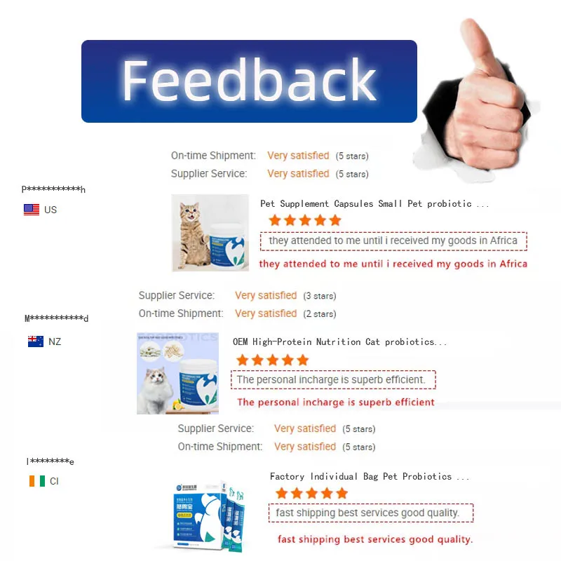 Private Label Support Formula Capsule Tablet Powder Gut Health Dog Diarrhea Medication Puppy Probiotic for Dogs