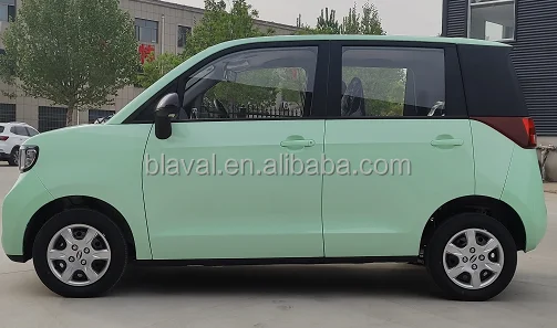EEC 100KM/H high speed smart 5 seat electric car electric vehicle